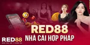 RED88 - Thế Giới Cá Cược Đẳng Cấp Thỏa Mãn Đam Mê Của Bạn 9 Red88