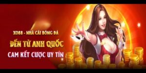 XO88 - Sảnh Cá Cược Đẳng Cấp, Săn Thưởng Cực Khủng 3 xo88