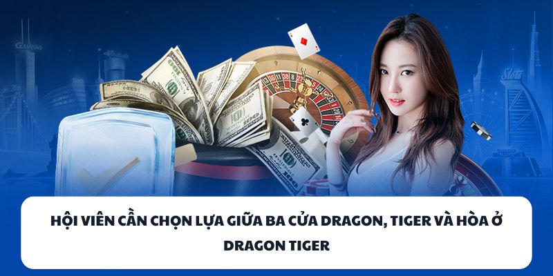 88STAR - Sân Chơi Game Bài Đổi Thưởng Tốt Nhất Hiện Nay 2 Hội viên cần chọn lựa giữa ba cửa Dragon, Tiger và Hòa ở Dragon Tiger