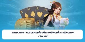 TINYCAT99 – Nơi Tỏa Sáng Cảm Xúc Qua Game Bài Đổi Thưởng 8 TINYCAT99